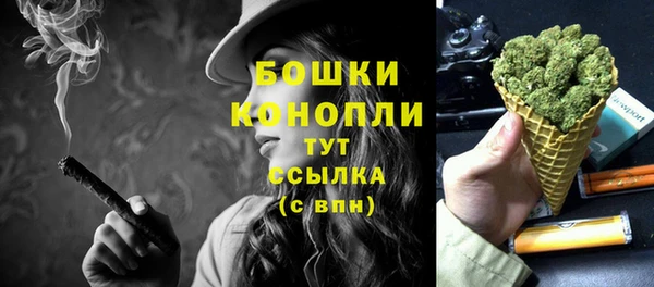 ГАЛЛЮЦИНОГЕННЫЕ ГРИБЫ Медногорск