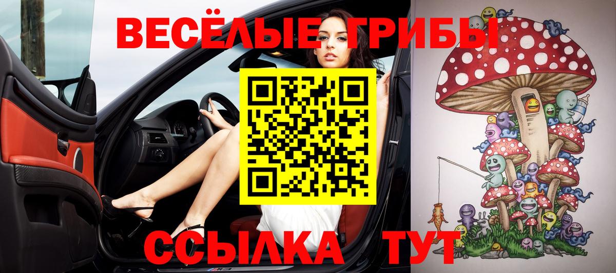 дарнет шоп  Вход с VPN  Партизанск  Псилоцибиновые грибы мухоморы 
